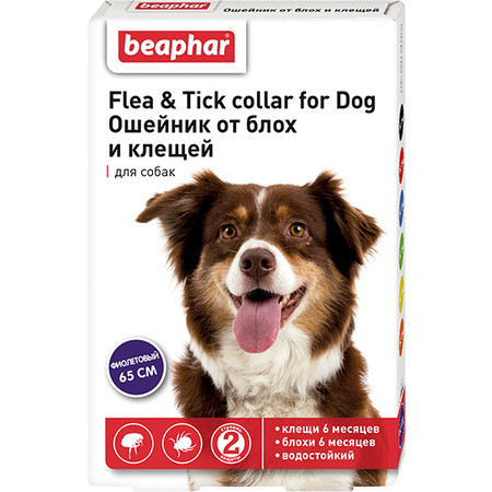 26694c000 Ошейник Beaphar для собак от блох (6 мес.) и клещей (6 мес.) фиолетовый - 65 см