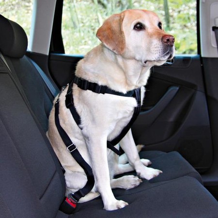 Автомобильный ремень безопасности Trixie со шлейкой для собак с обхватом туловища 20-50 см