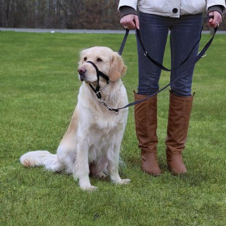 Намордник Trixie для собак тренировочный S 22 см длина поводка 35-42 см