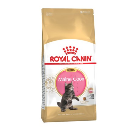 Сухой корм Royal Canin Maine Coon Kitten для котят породы мейн-кун