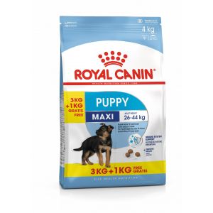 35813c000 Сухой корм Royal Canin Maxi Puppy для щенков крупных пород с курицей - 3 кг + 1 кг в подарок