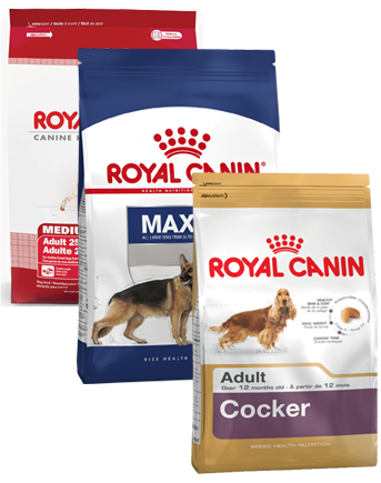 Royal canin для взрослых собак